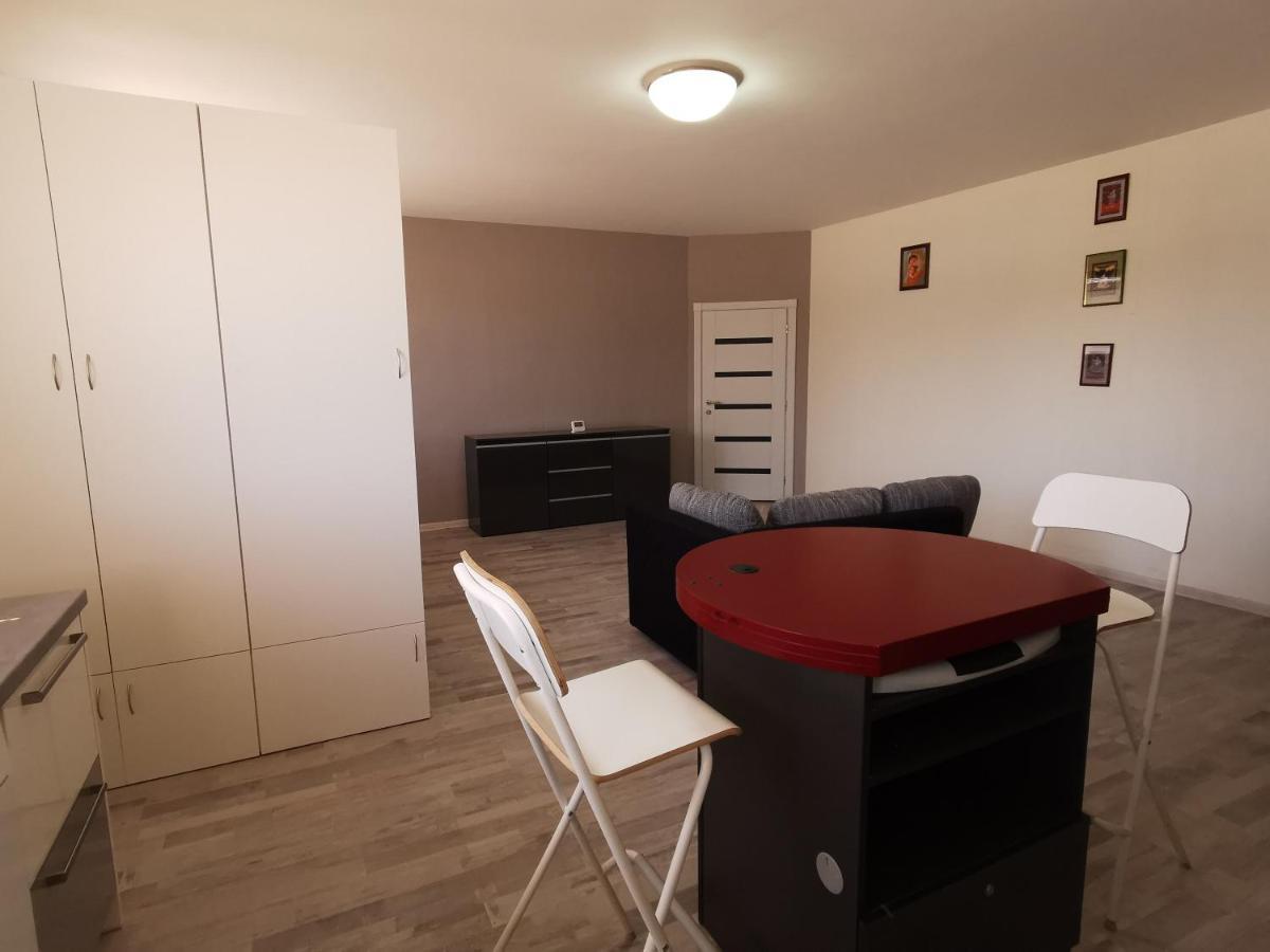Saulelydzio Apartamentai パランガ エクステリア 写真