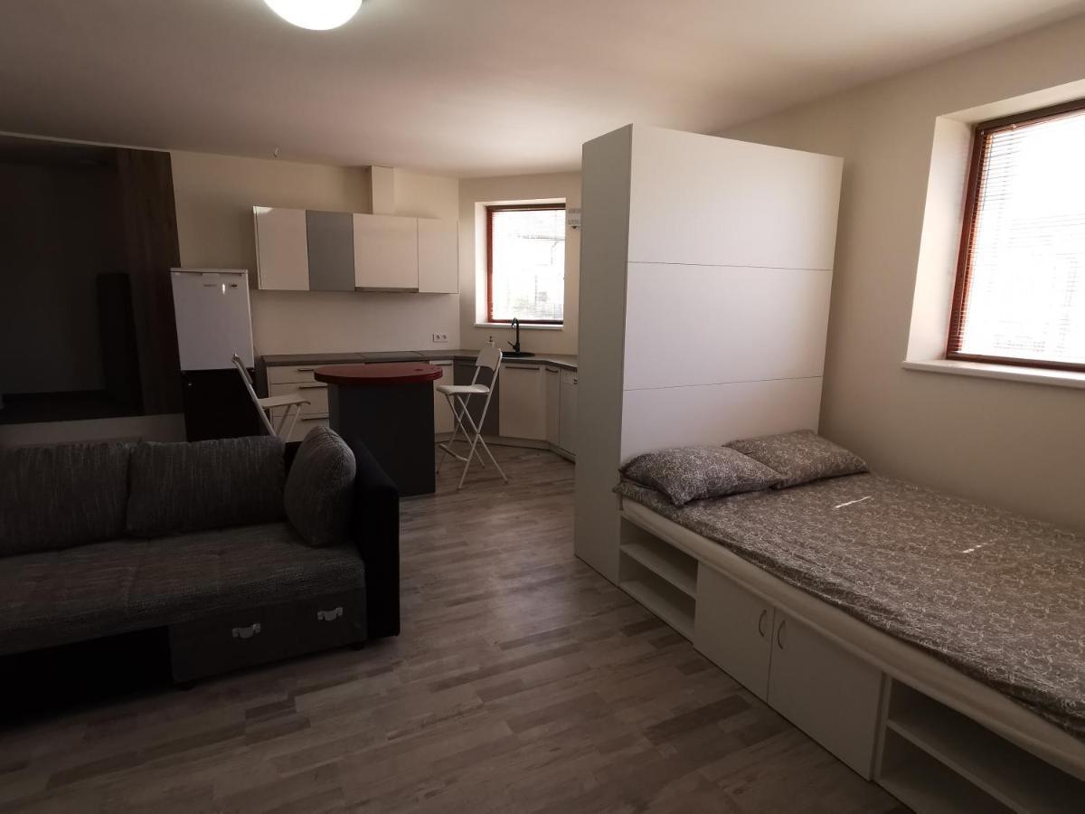 Saulelydzio Apartamentai パランガ エクステリア 写真